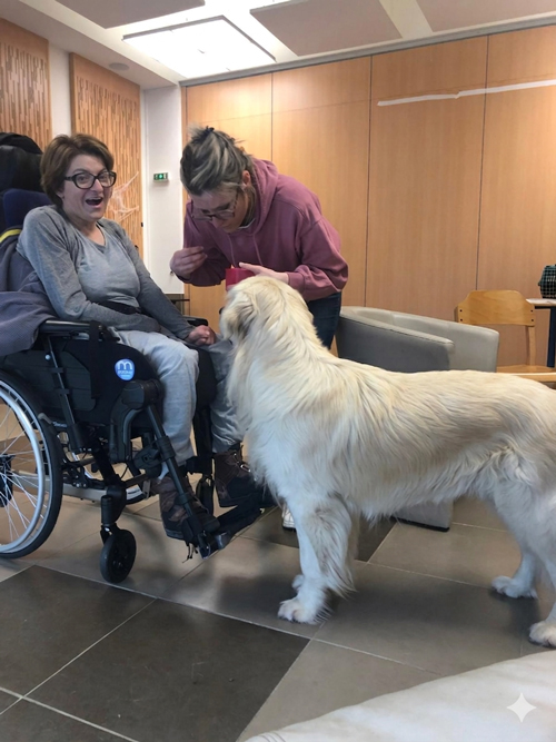 médiation animale pour personne en situation de handicap